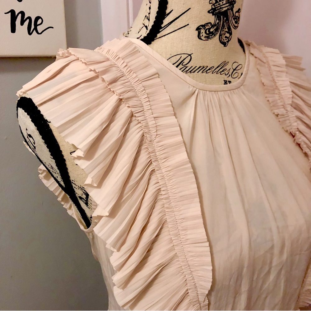 Blush Ruffle Joie Blouse